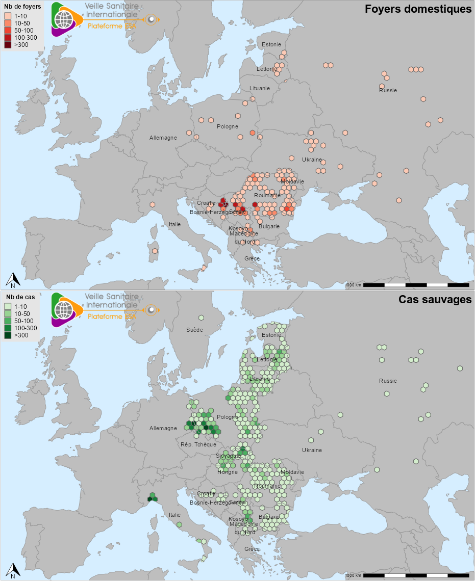 Figure 1. Densité des foyers domestiques (haut) et des cas en faune sauvage (bas) de PPA en Europe ayant été détectés entre le 01/01/2023 et le 07/09/2023 (source : Commission européenne ADIS le 08/09/2023 et WAHIS-OMSA le 01/09/2023). 