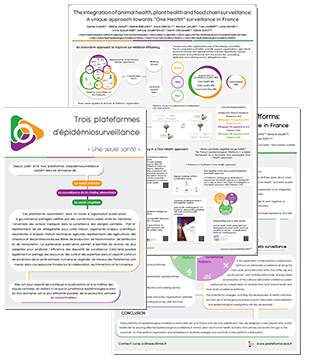 supports trois ptfs