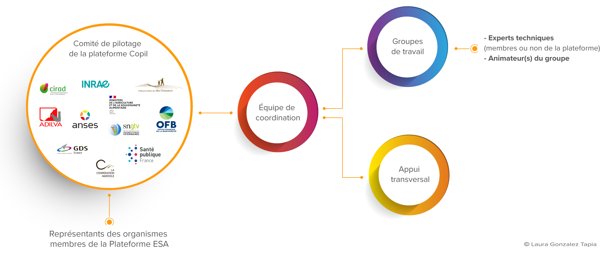 organisation Plateforme esa