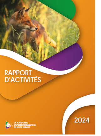 rapport_activite_2024