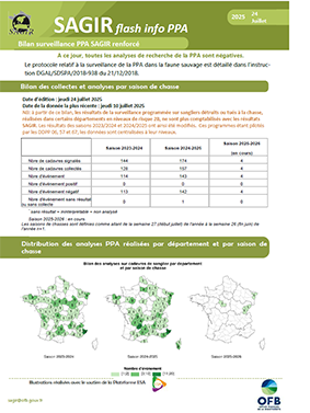 bilan sagir 07 2025