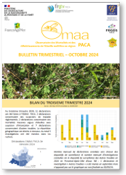 bulletin omaa paca