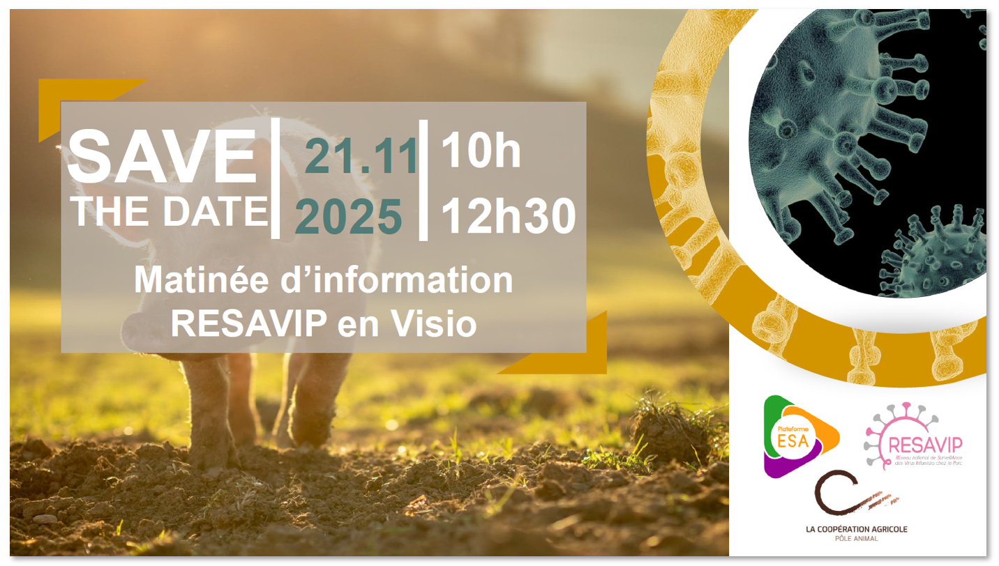save the date resavip