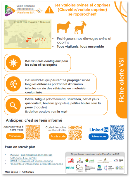 fiche_alerte_vsi_clavelee