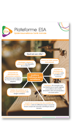 plaquette_esa