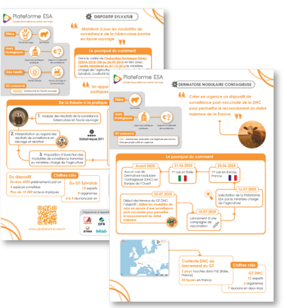 fiches_success_story