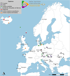 map1