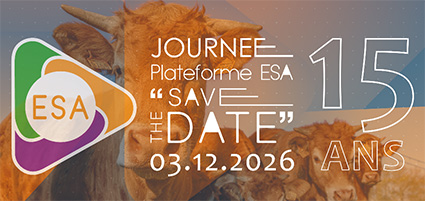 save_the_date