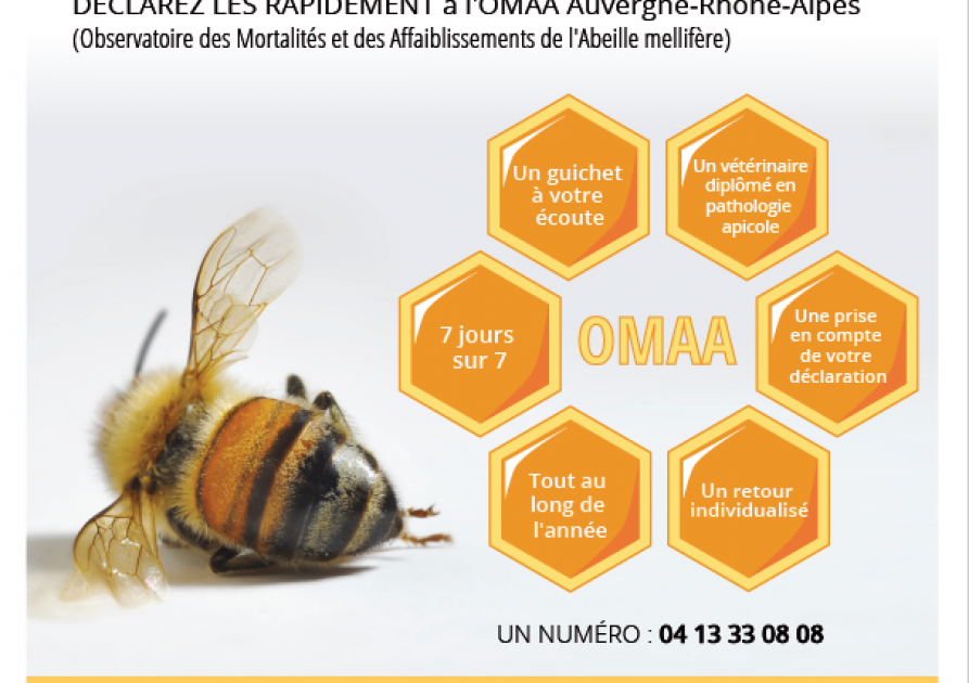 Affiche déclaration OMAA région AURA