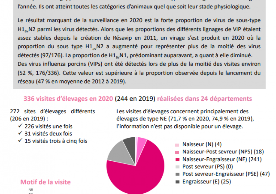 Resavip Bulletin d'information national - Résultats de l'année 2020