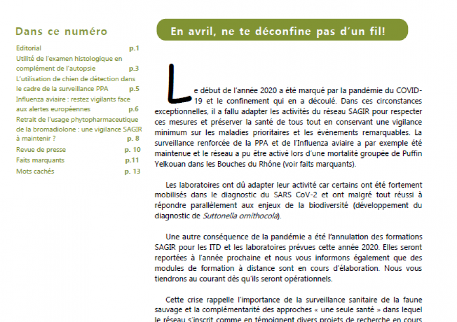 Lettre d'information du réseau SAGIR numéro 188 octobre 2020