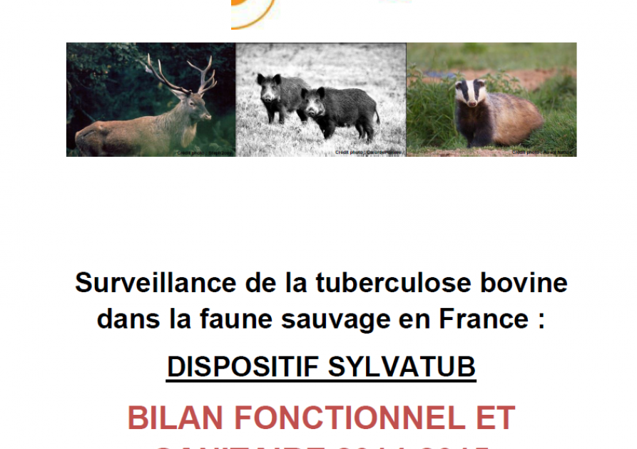 Sylvatub Bilan fonctionnel et sanitaire 2014 - 2015