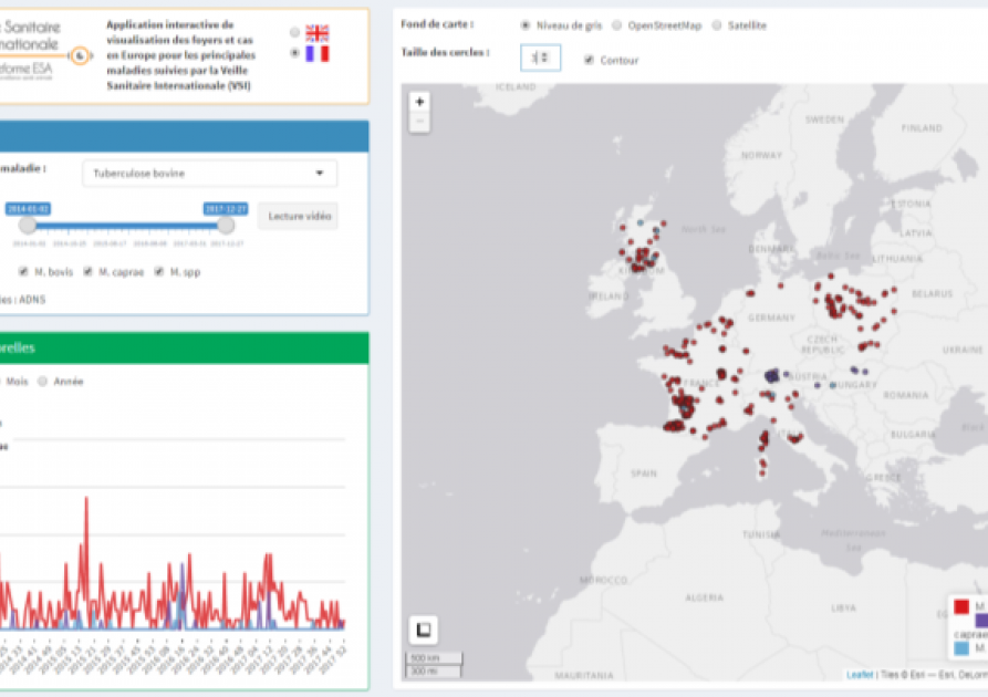 Carte interactive veille sanitaire internationale : tuberculose bovine