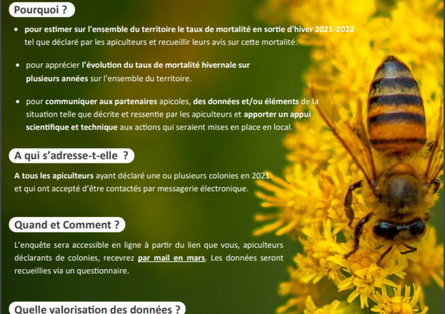 Mortalité des colonies d'abeilles durant l'hiver 2021 - 2022