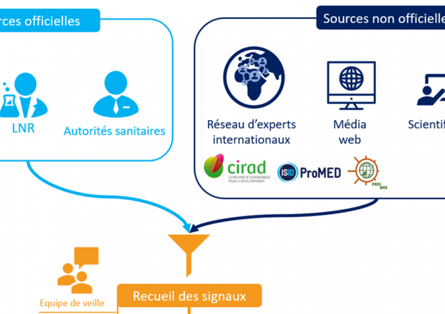 Publications de la veille sanitaire internationale | PLATEFORME ESA