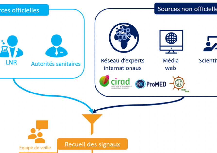 VSI sources d'information et modalités de gestion des données