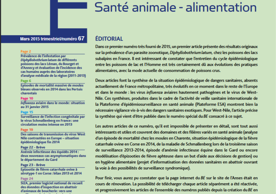 be 67 anses