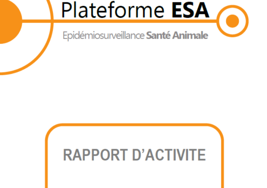 rapport activité 2012