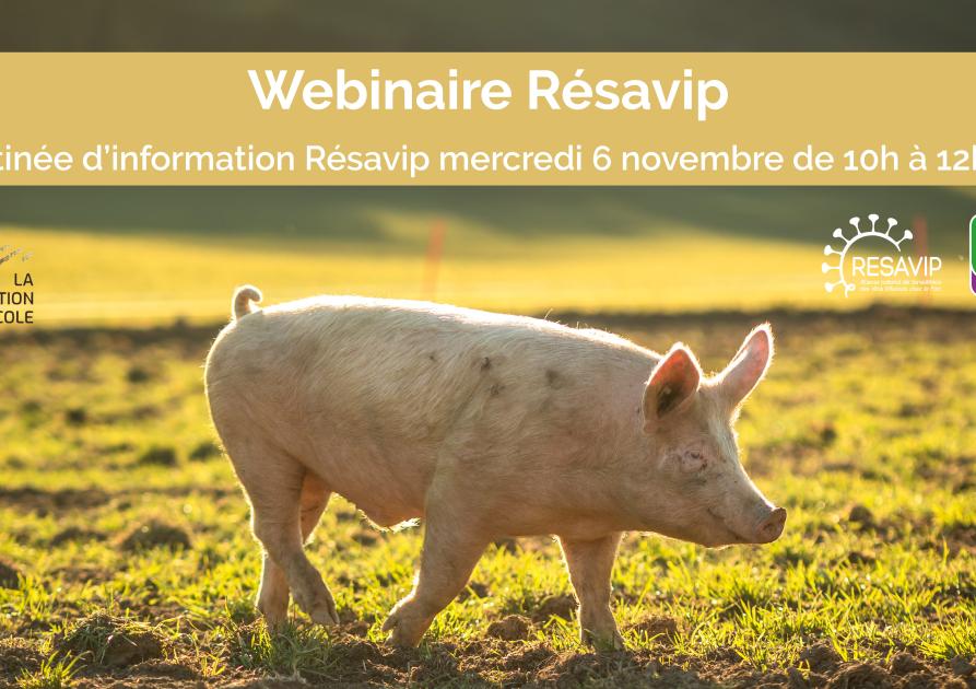 webinaire résavip