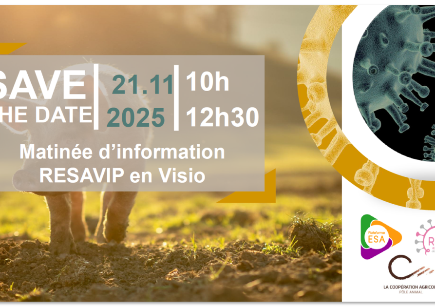 save the date resavip