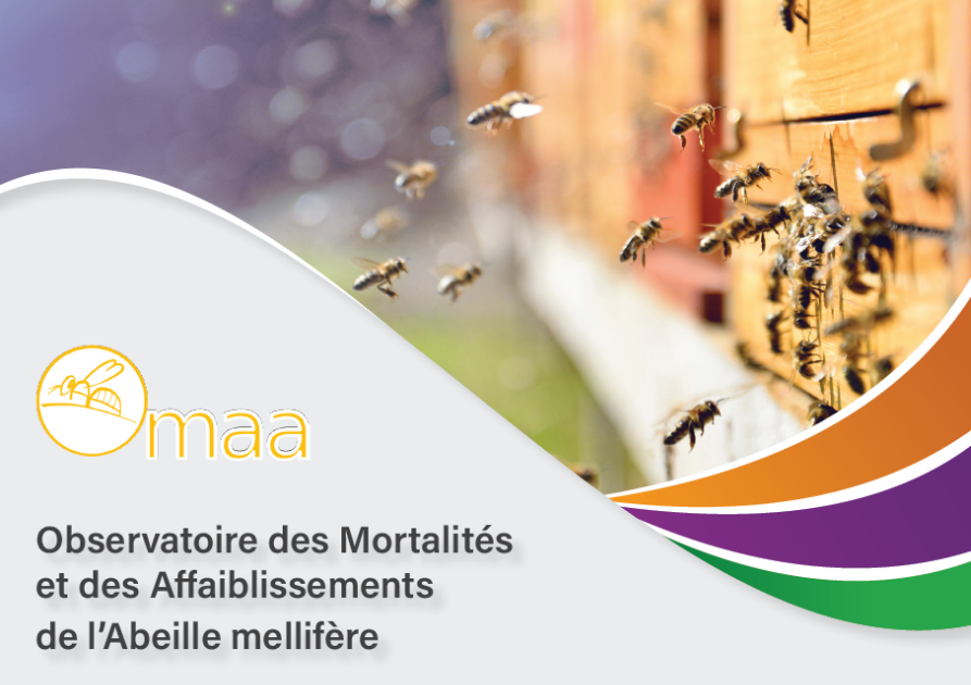 omaa_image_bilan_2024_chapo