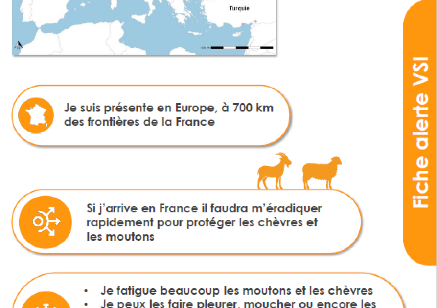 Qui suis-je?