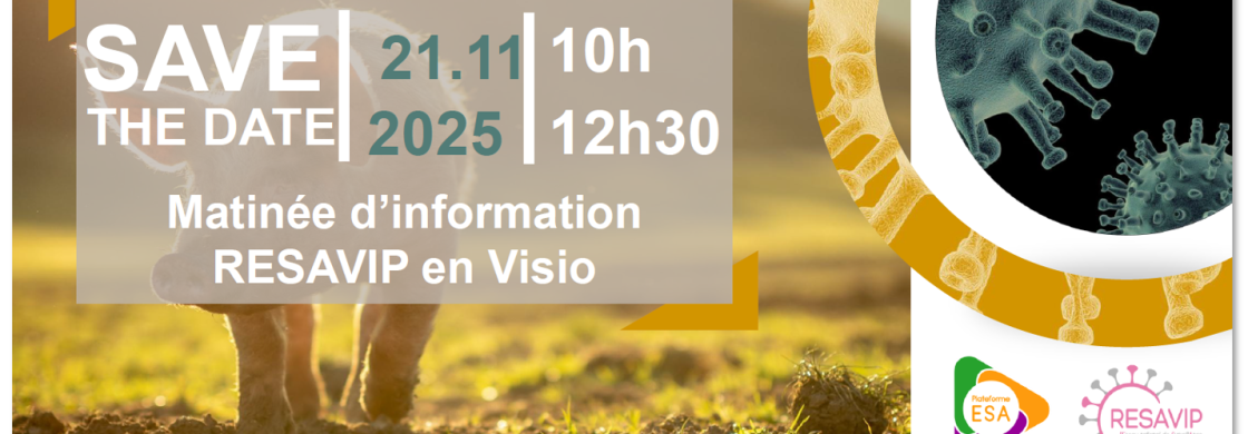 save the date resavip