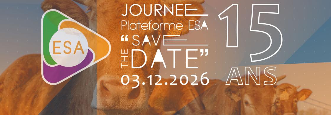 save_the_date_carrousel