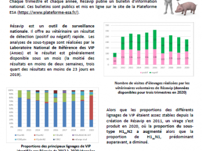 BINT Numéro 32 Résultats du 3ème trimestre 2020