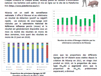 BINT Numéro 33 Résultats du 4ème trimestre 2020