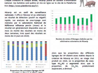 BINT Numéro 34 Résultats du 1er trimestre 2021