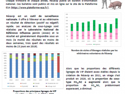 BINT Numéro 35 Résultats du 2ème trimestre 2021