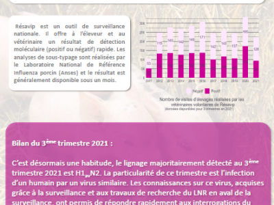 BINT Numéro 36 Résultats du 3ème trimestre 2021