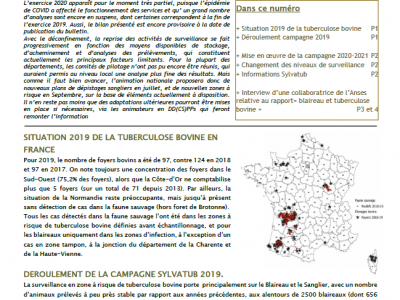 Bulletin numéro 7 Sylvatub Juin 2020