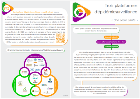Plaquette Trois Plateformes d’épidémiosurveillance