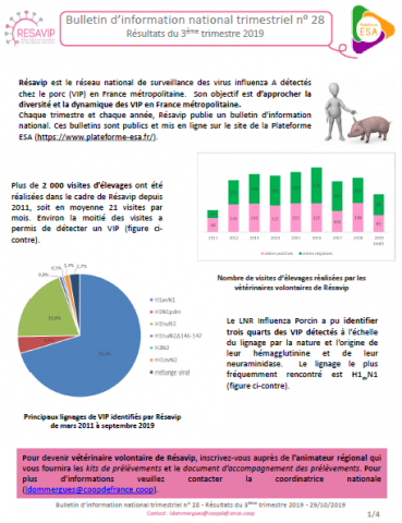 BINT Numéro 28 Troisième trimestre 2019