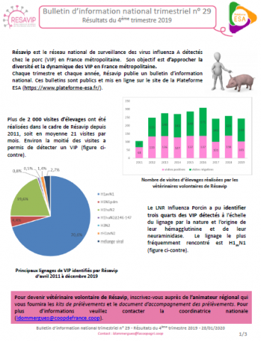 BINT Numéro 29 Quatrième trimestre 2019