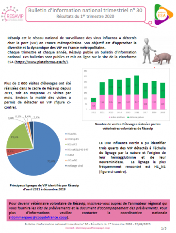 BINT Numéro 30 Résultats du 1er trimestre 2020