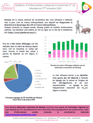 BINT Numéro 31 Résultats du 2ème trimestre 2020