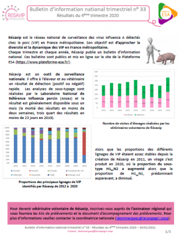 BINT Numéro 33 Résultats du 4ème trimestre 2020