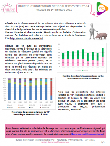 BINT Numéro 34 Résultats du 1er trimestre 2021