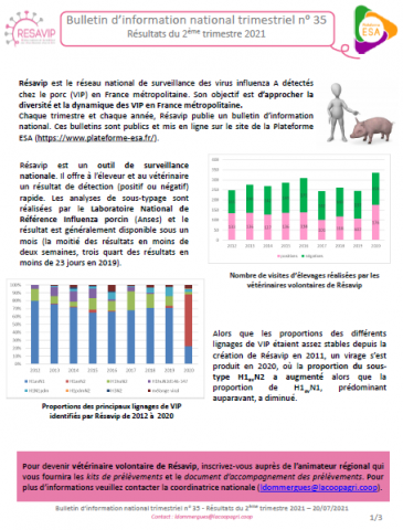 BINT Numéro 35 Résultats du 2ème trimestre 2021