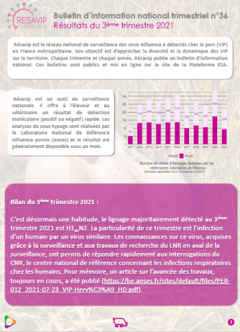 BINT Numéro 36 Résultats du 3ème trimestre 2021