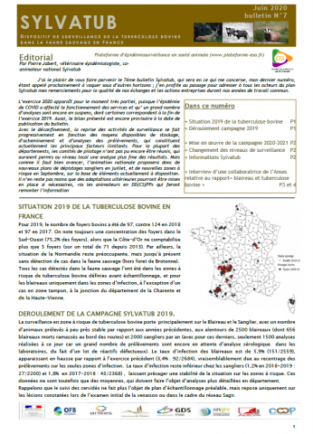Bulletin numéro 7 Sylvatub Juin 2020