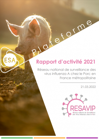 Résavip rapport d'activité