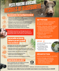 Poster peste porcine africaine mesures de biosécurité