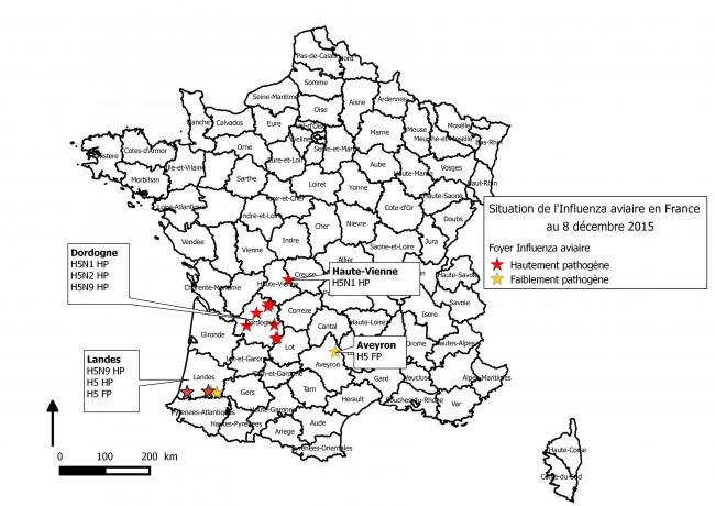 Figure 1 Répartition des foyers d'influenza aviaire en France au 8 décembre 2015