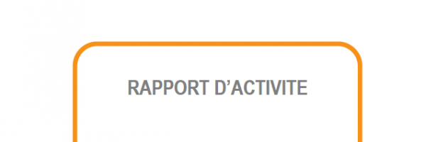 Rapport d'activités Plateforme 2011 - 2013