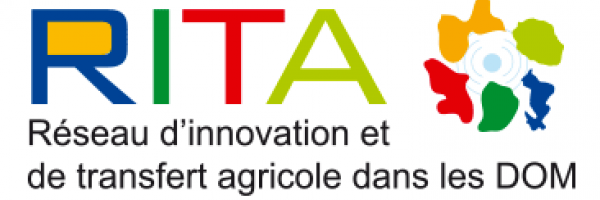 Rita logo
