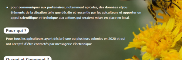 Mortalité des colonies d'abeilles durant l'hiver 2020 - 2021